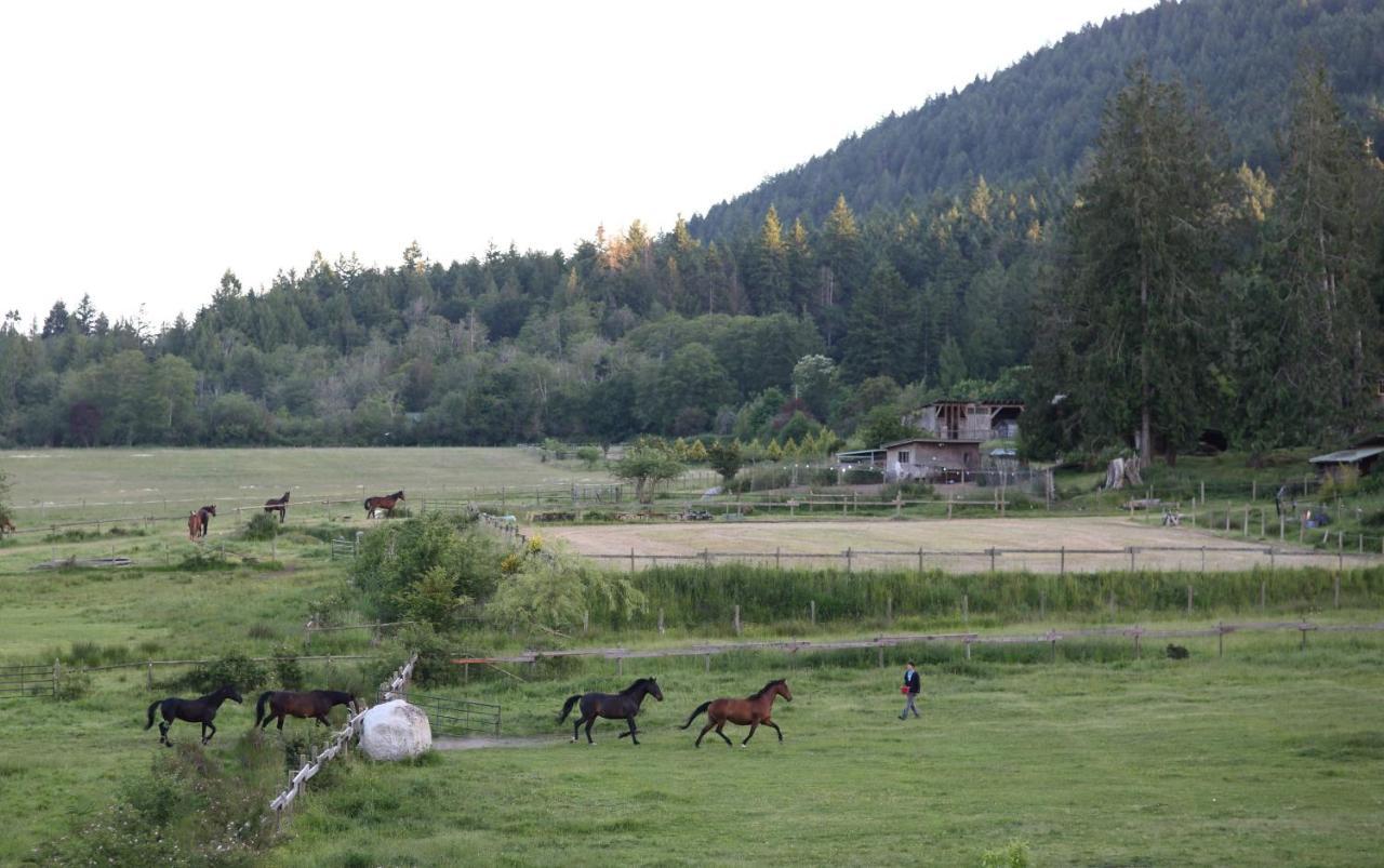 Woodstone Manor Inc. Hotel Sturdies Bay Екстериор снимка